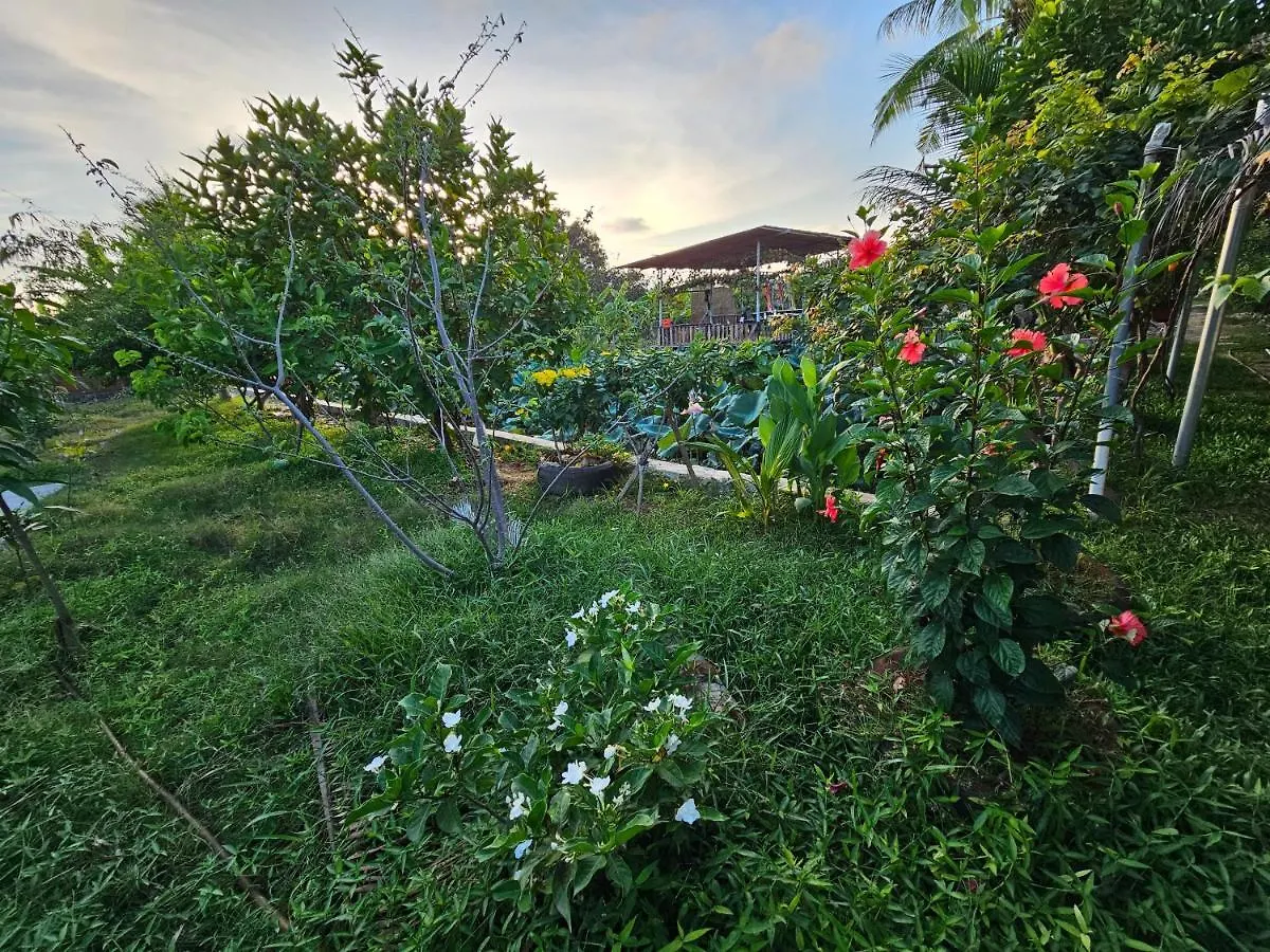 Сasa de vacaciones Homestay Sen & Zen Villa Vung Tau
