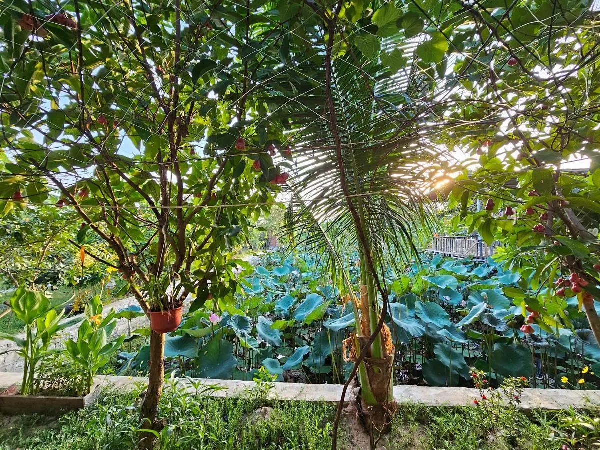 Homestay Sen & Zen Villa Vung Tau Vietnam