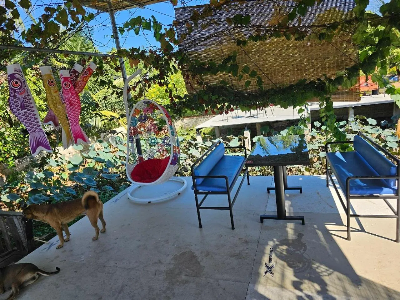 Homestay Sen & Zen Villa Vung Tau 0*,