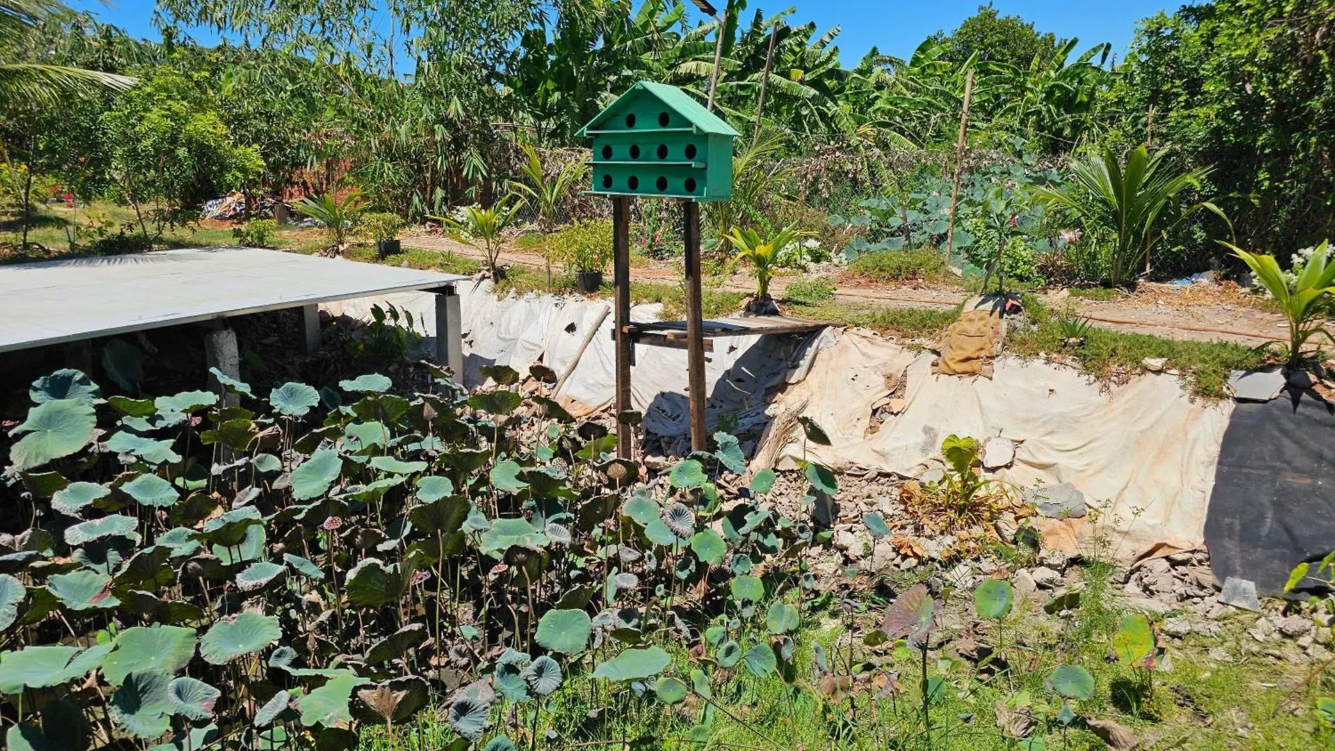 Homestay Sen & Zen Villa Vung Tau Сasa de vacaciones