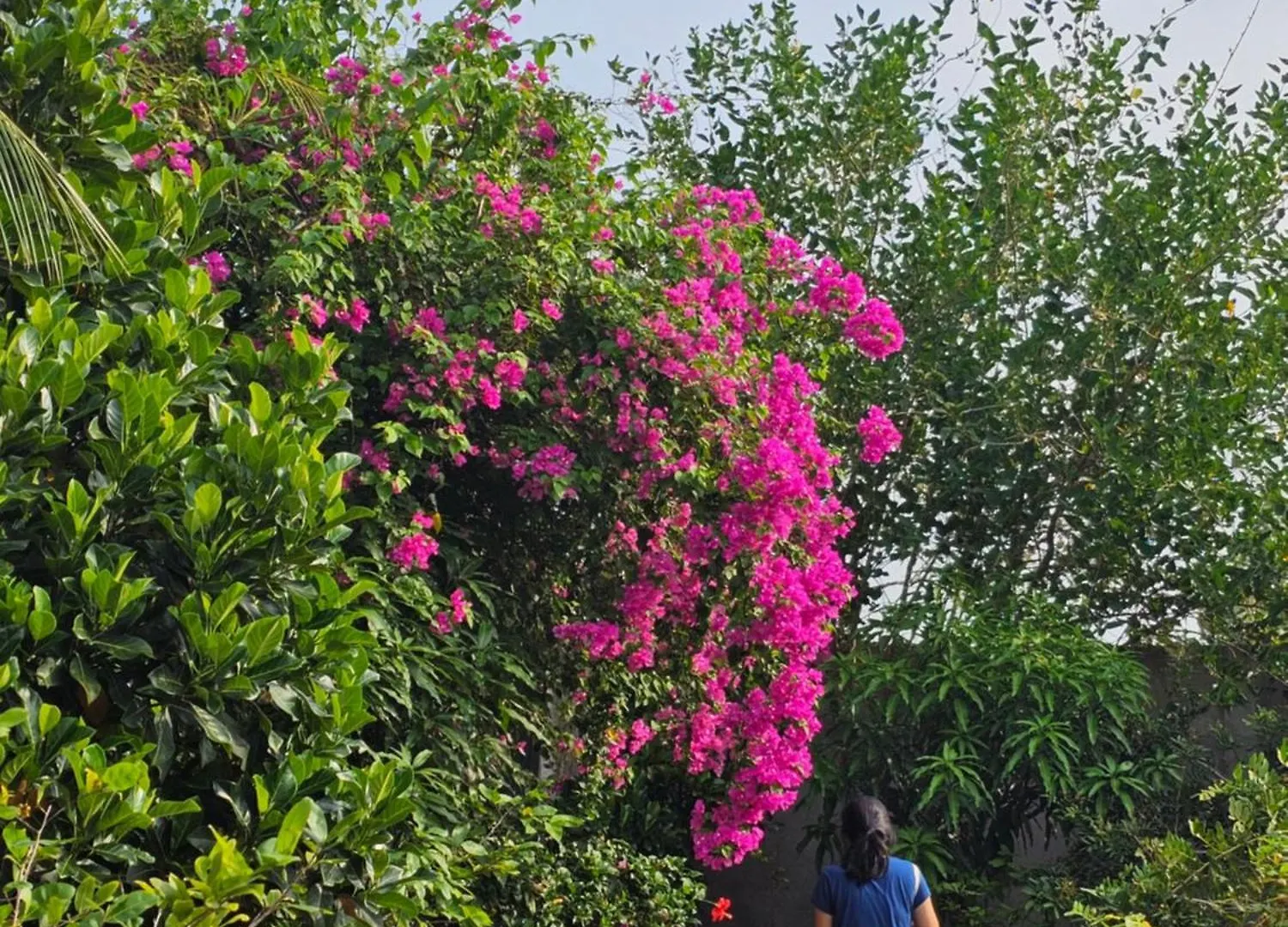 Сasa de vacaciones Homestay Sen & Zen Villa Vung Tau