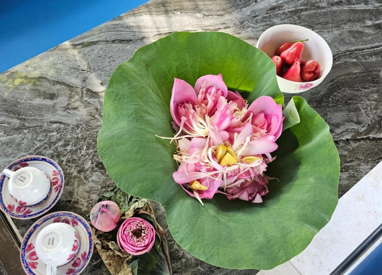 Homestay Sen & Zen Villa Vung Tau 0*,