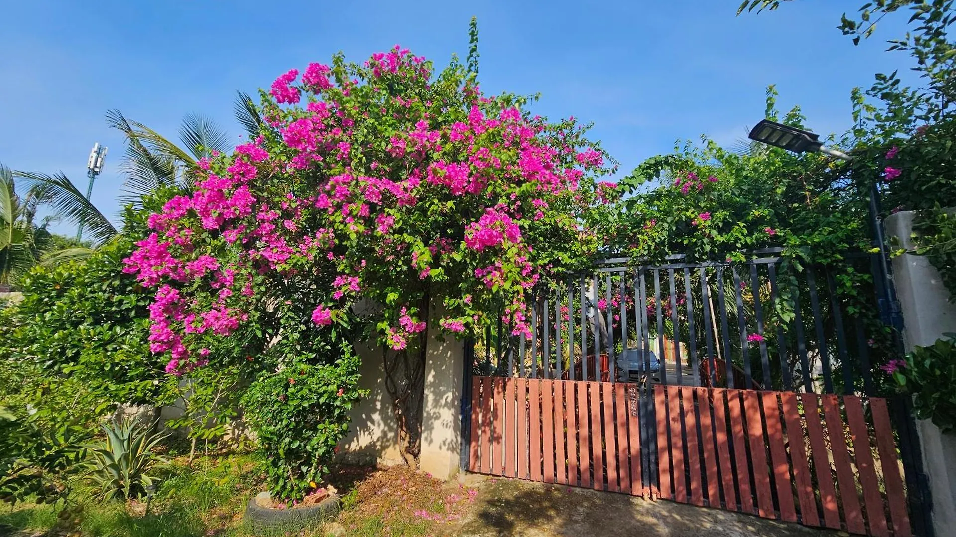 Сasa de vacaciones Homestay Sen & Zen Villa Vung Tau