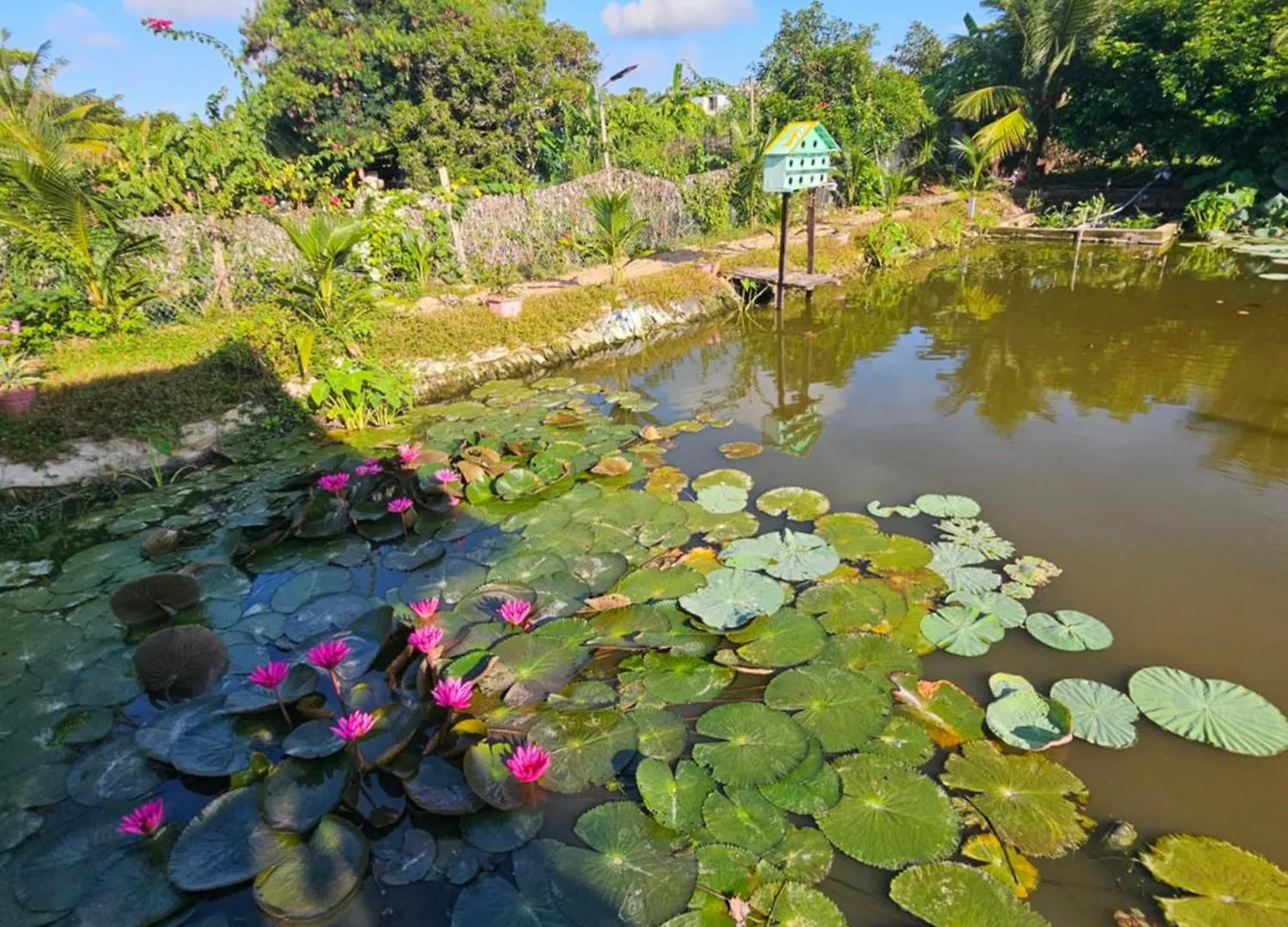 Homestay Sen & Zen Villa Βουνγκ Τάου Βιετνάμ