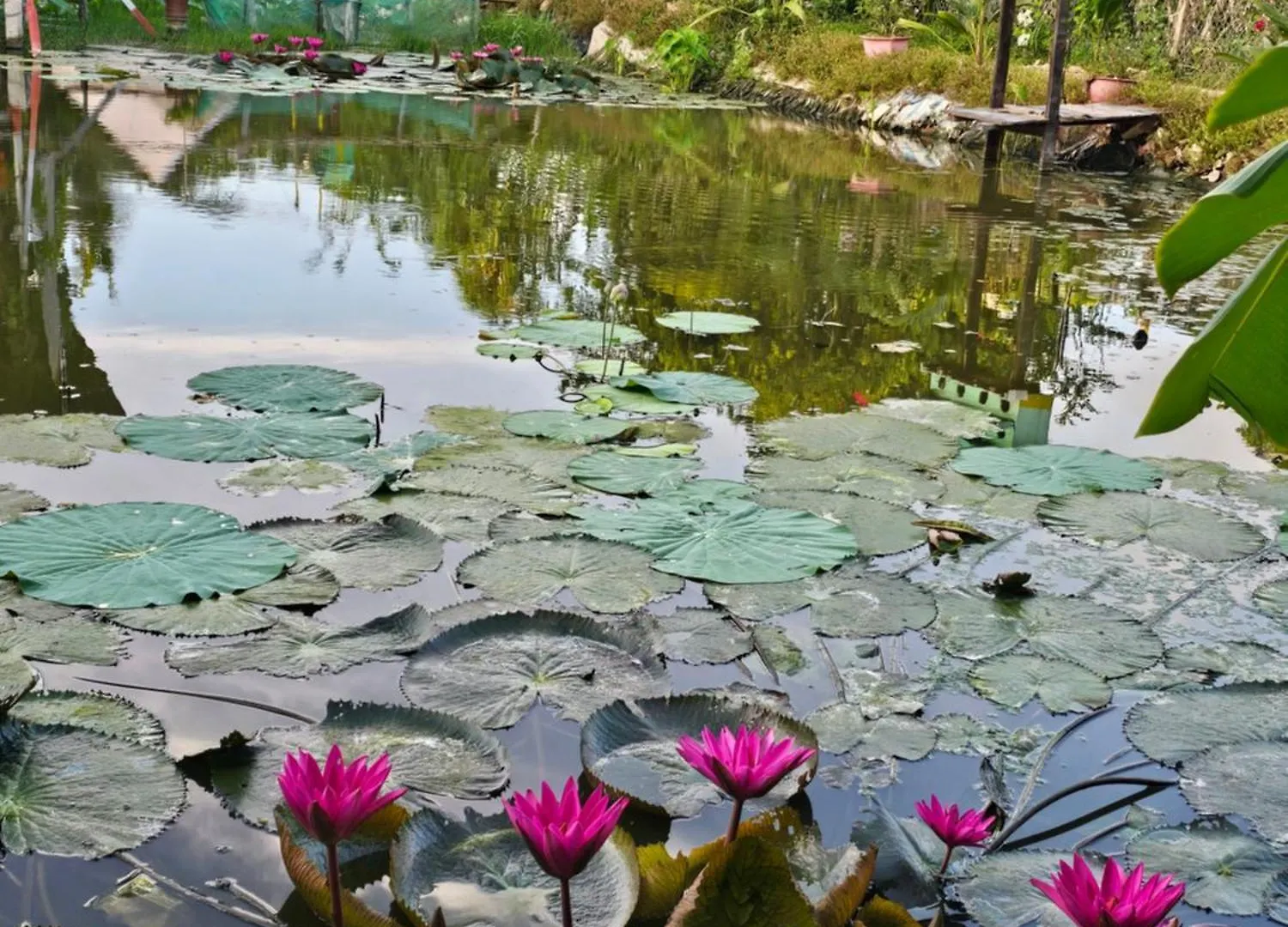 Homestay Sen & Zen Villa Vung Tau Сasa de vacaciones
