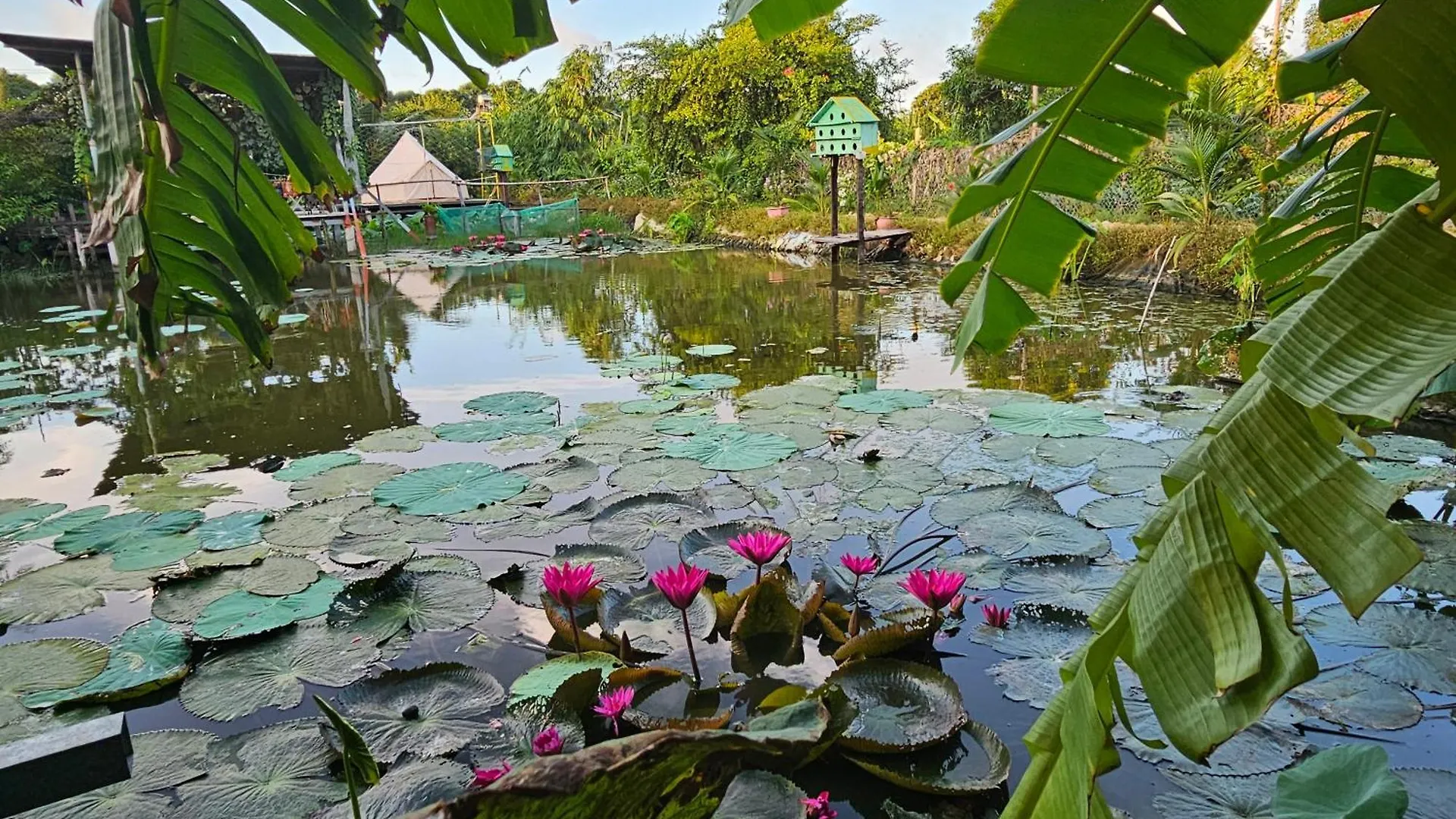 Homestay Sen & Zen Villa Vung Tau