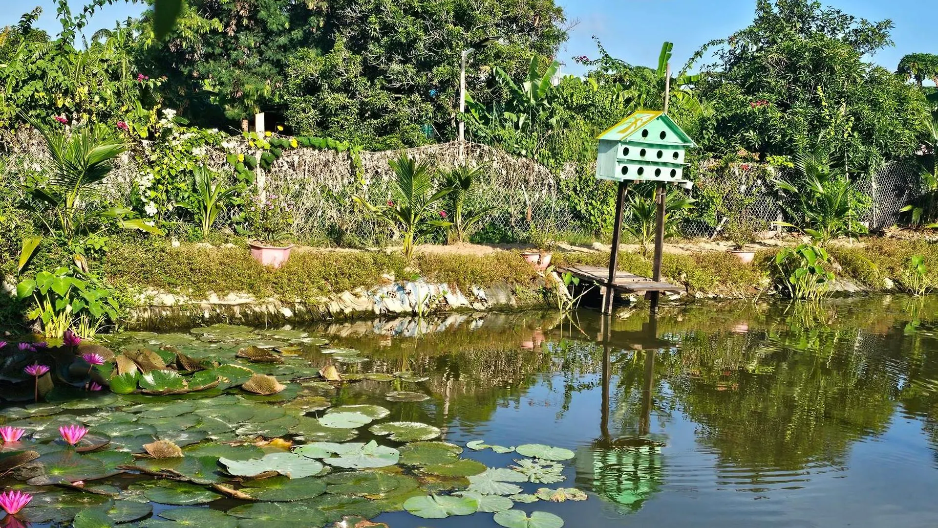 Homestay Sen & Zen Villa Vung Tau 0*,  Vietnam
