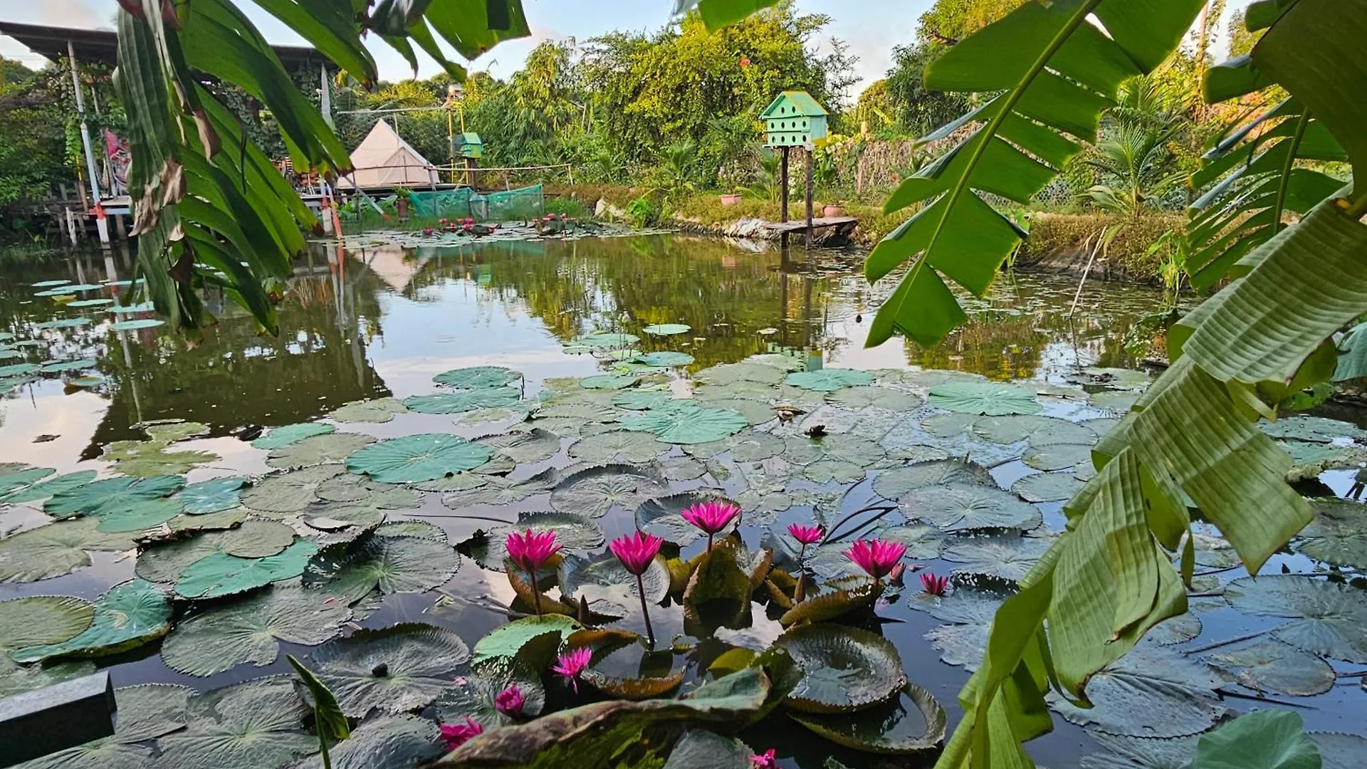 Homestay Sen & Zen Villa Vung Tau