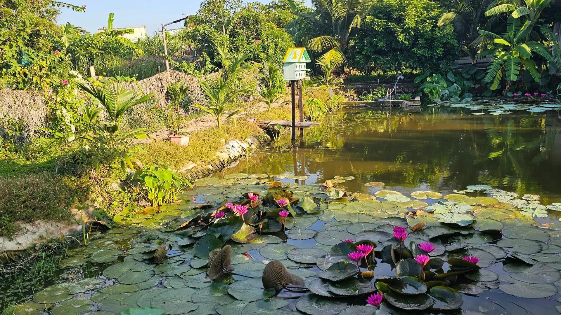Сasa de vacaciones Homestay Sen & Zen Villa Vung Tau Vietnam