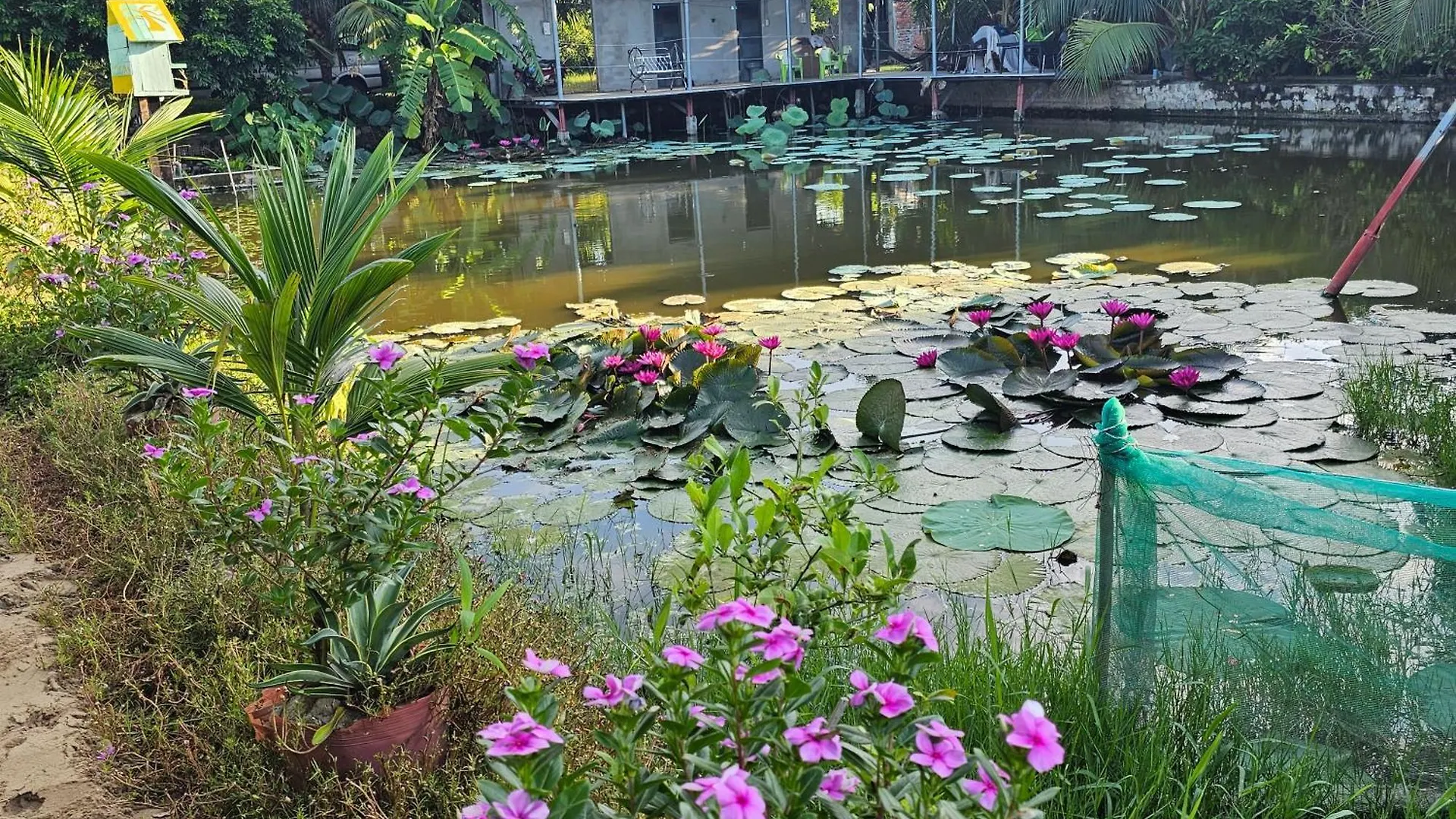 Сasa de vacaciones Homestay Sen & Zen Villa Vung Tau