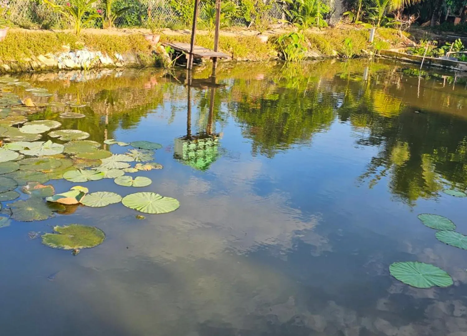 Homestay Sen & Zen Villa Vung Tau