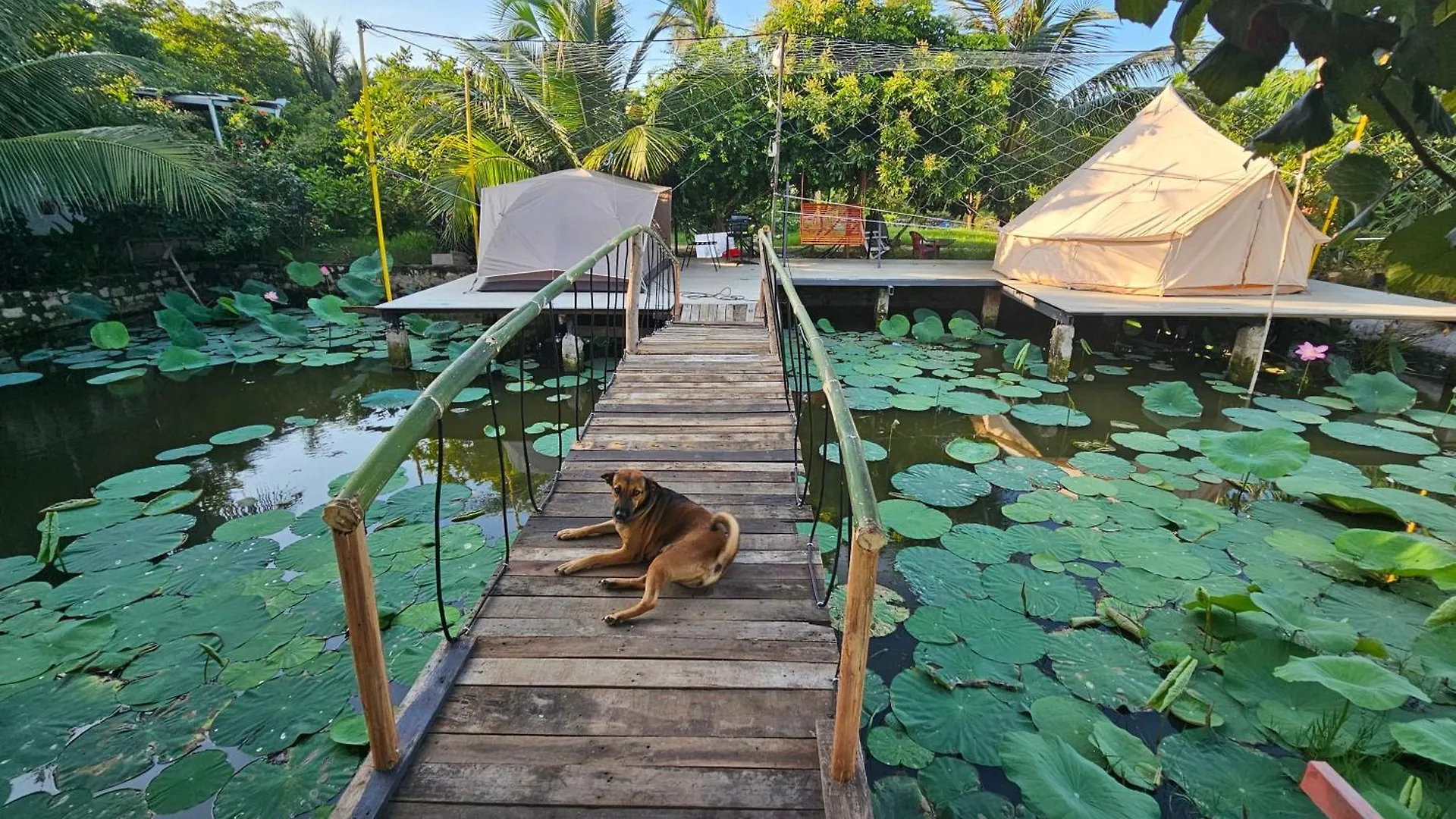 Homestay Sen & Zen Villa Vung Tau Vietnam