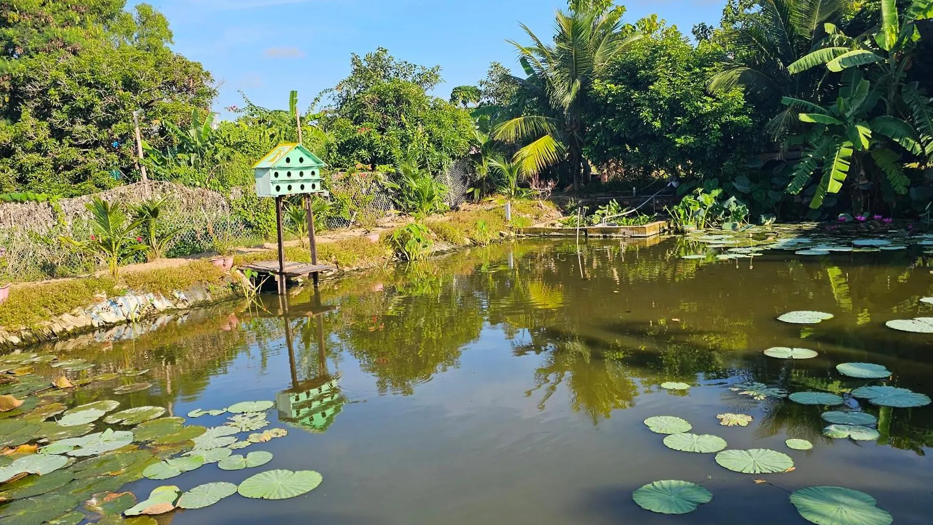 Homestay Sen & Zen Villa Βουνγκ Τάου Βιετνάμ