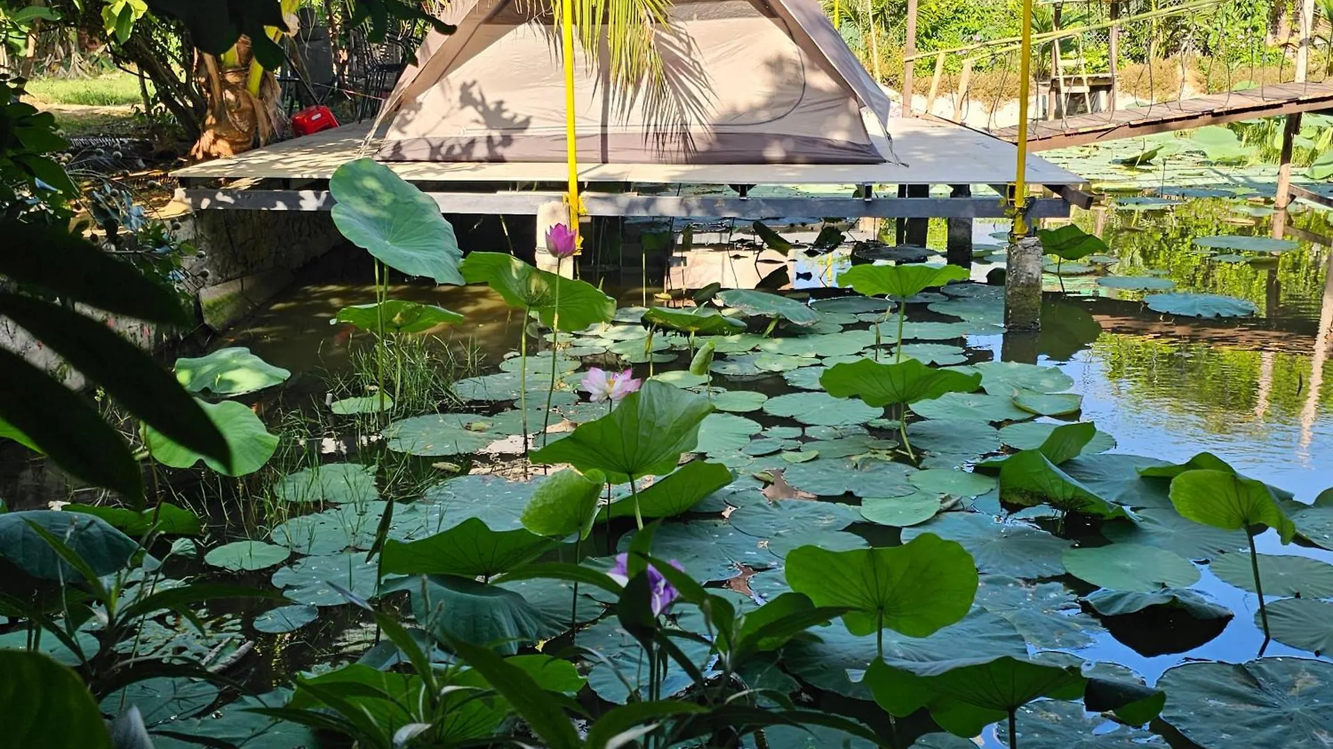 Сasa de vacaciones Homestay Sen & Zen Villa Vung Tau Vietnam