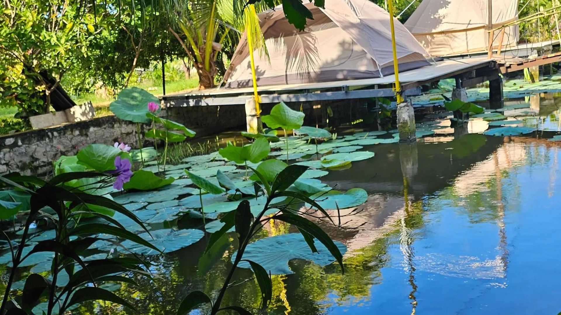 Homestay Sen & Zen Villa Vung Tau