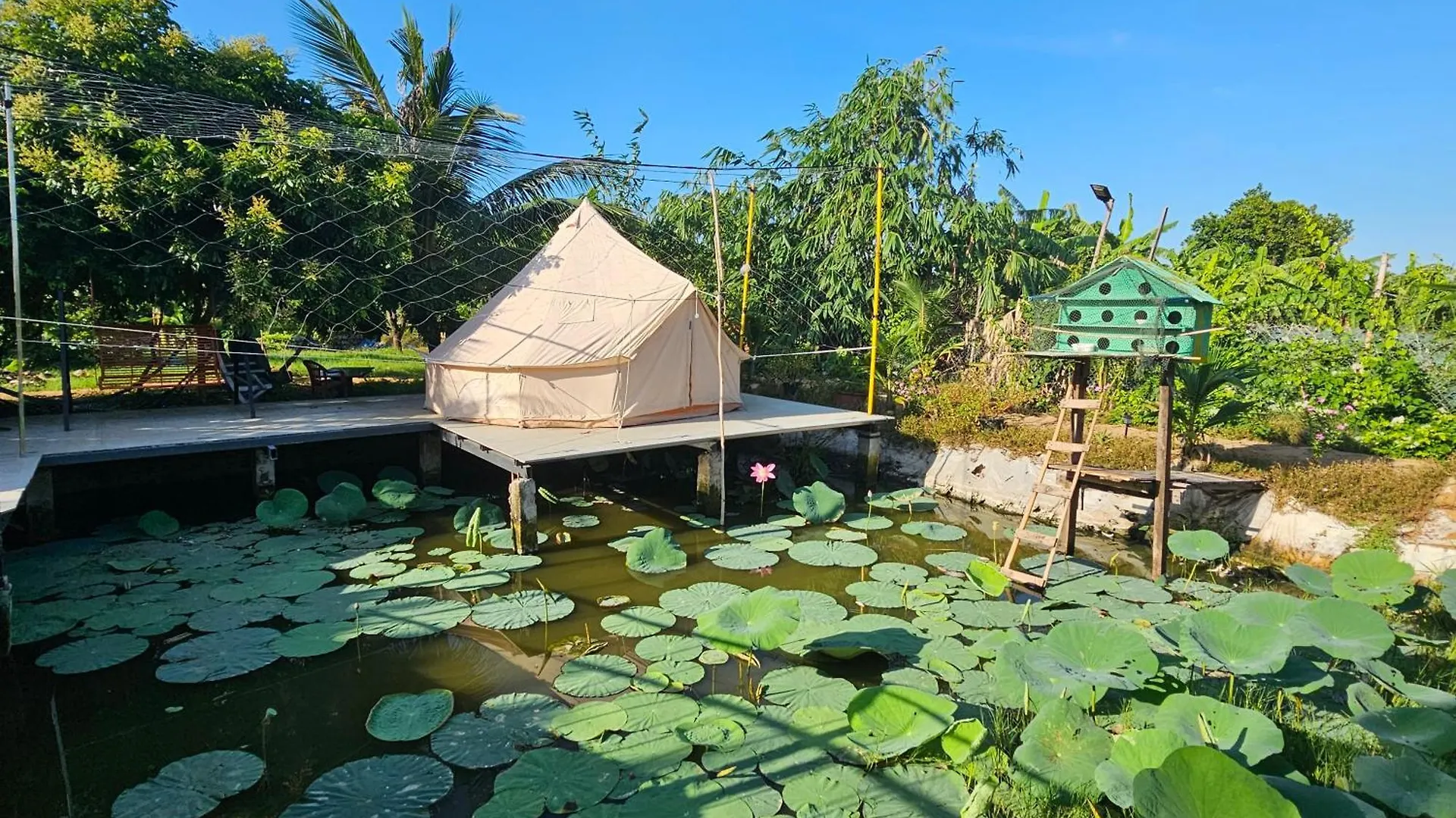Homestay Sen & Zen Villa Vung Tau Vietnam