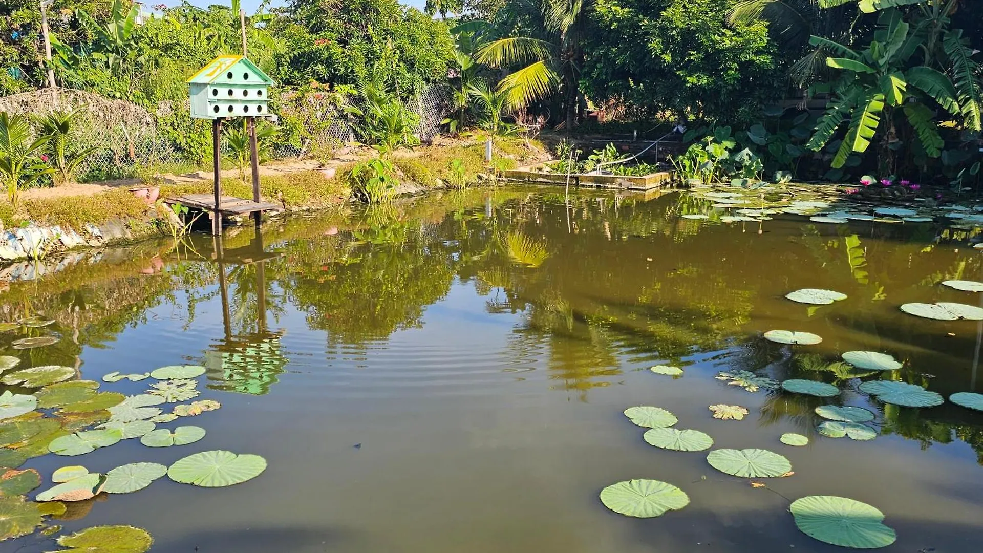Homestay Sen & Zen Villa Vung Tau 0*,  Vietnam