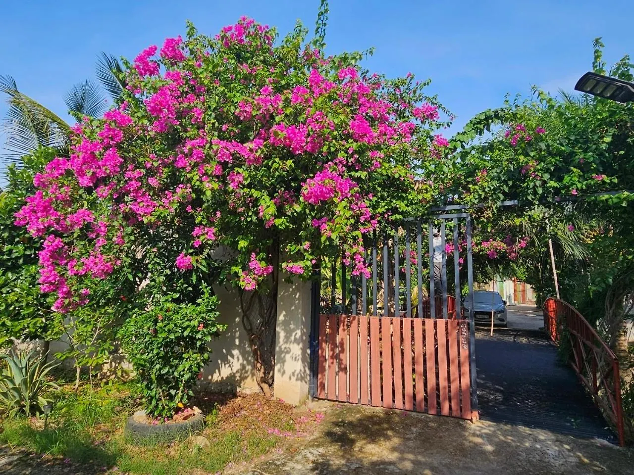 Сasa de vacaciones Homestay Sen & Zen Villa Vung Tau Vietnam