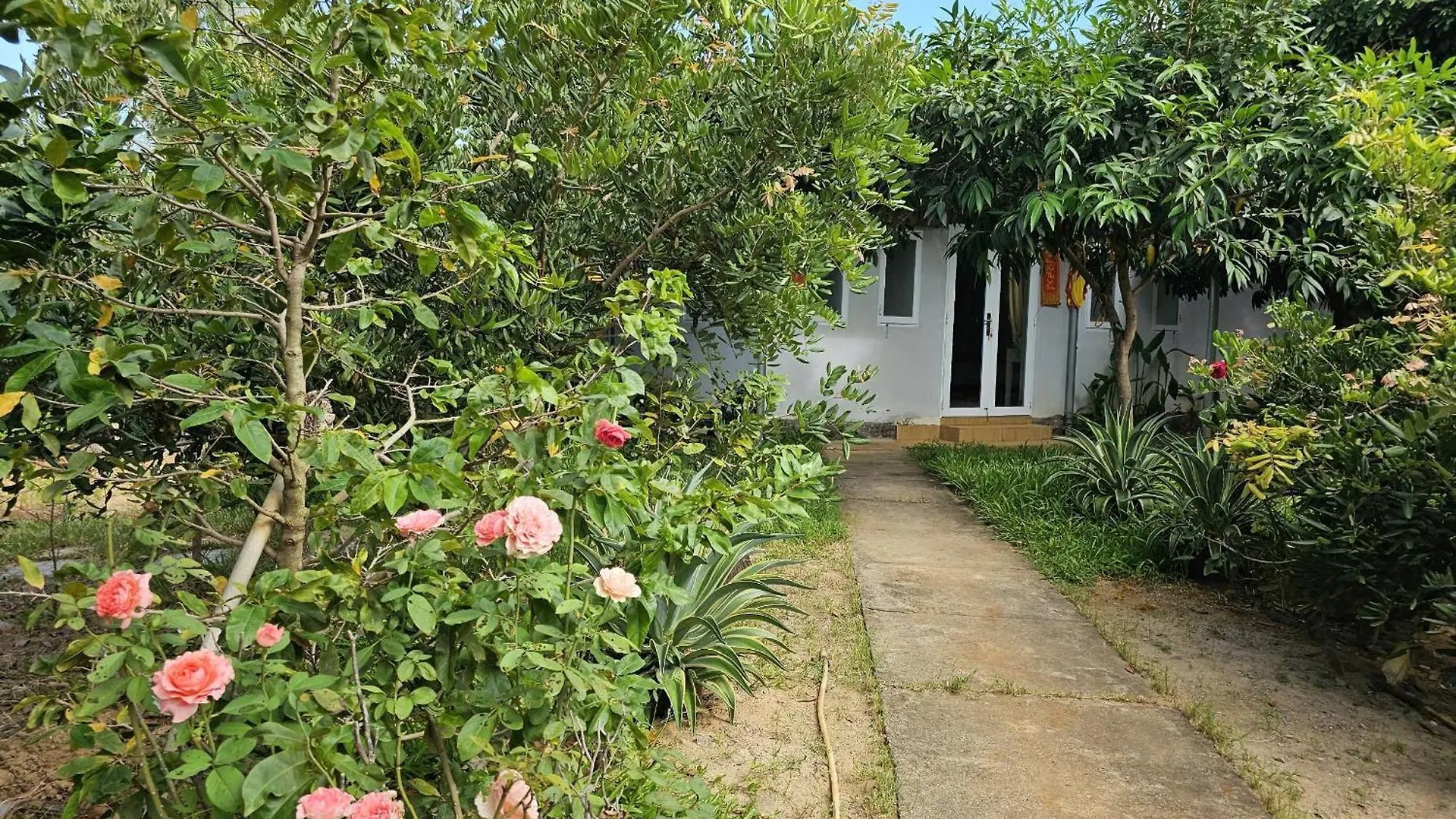 Homestay Sen & Zen Villa Vung Tau Сasa de vacaciones