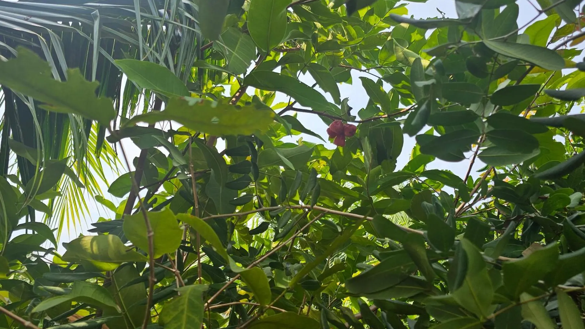 Сasa de vacaciones Homestay Sen & Zen Villa Vung Tau