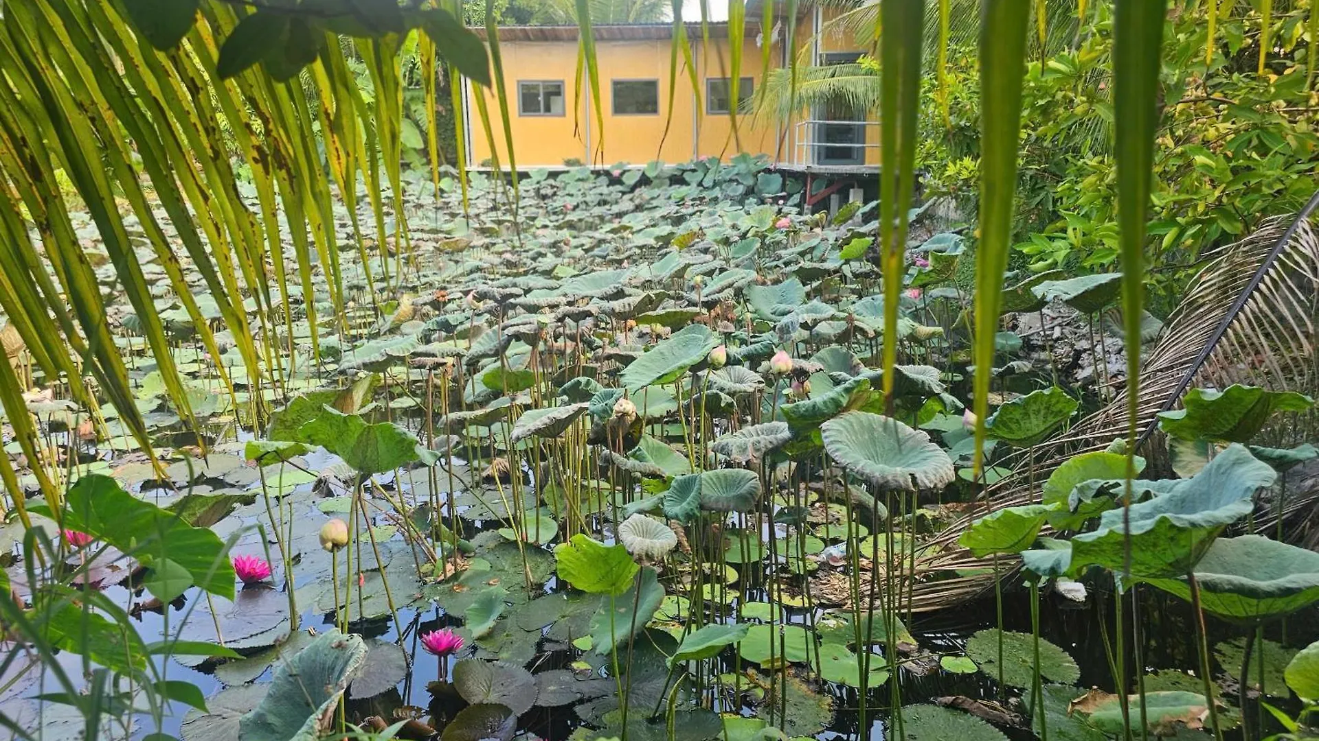 Homestay Sen & Zen Villa Vung Tau Сasa de vacaciones