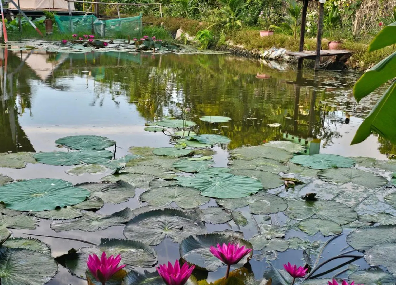펜션 Homestay Sen & Zen Villa 붕타우