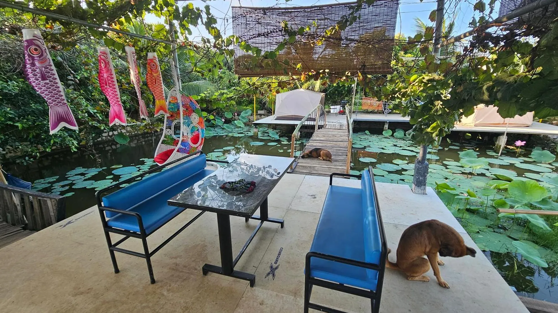 Homestay Sen & Zen Villa 붕타우 베트남