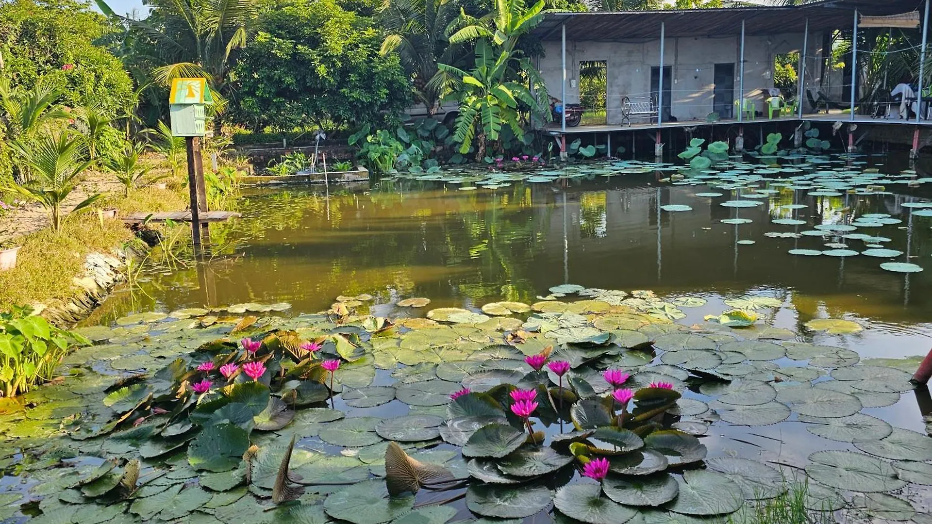 Homestay Sen & Zen Villa 붕타우 펜션